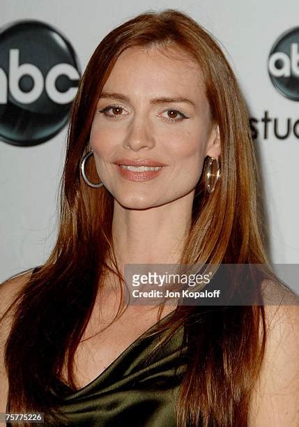 saffron burrows sexy|1,539 Actress Saffron Burrows Stock Photos and High。